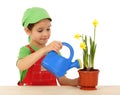 Little girl watering the daffodil Royalty Free Stock Photo