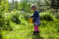 Little girl watering flowers Royalty Free Stock Photo