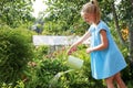 Little girl watering the flowers in the family garden at a summer day, very rural scene Royalty Free Stock Photo