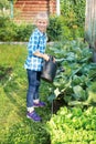 Little girl watering the flowers in the family garden Royalty Free Stock Photo