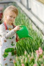 Little girl watering flowers in a greenhouse. Royalty Free Stock Photo