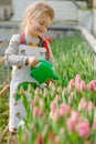 Little girl watering flowers in a greenhouse. Royalty Free Stock Photo