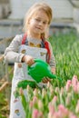 Little girl watering flowers in a greenhouse Royalty Free Stock Photo