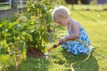 Little girl watering plants in the garden Royalty Free Stock Photo