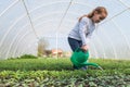 Little girl watering Royalty Free Stock Photo