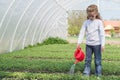 Little girl watering Royalty Free Stock Photo