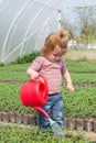 Little girl watering Royalty Free Stock Photo