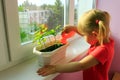 Little girl watering young plants