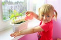 Little girl watering young plants in pot. Sandy desert behind window of room where little girl living Royalty Free Stock Photo