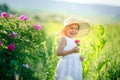 A little girl wearing flower yellow dress with white hat and stand in the yellow flower field of Sunn Hemp Crotalaria Royalty Free Stock Photo