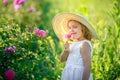 A little girl wearing flower yellow dress with white hat and stand in the yellow flower field of Sunn Hemp Crotalaria Royalty Free Stock Photo