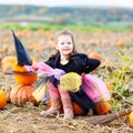 Little girl wearing halloween witch costume on pumpkin patch Royalty Free Stock Photo