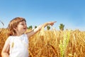 Little girl on a wheat field Royalty Free Stock Photo