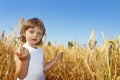 Little girl on a wheat field Royalty Free Stock Photo