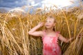 Little girl in wheat field Royalty Free Stock Photo