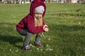 Little girl collecting flowers on first spring day Royalty Free Stock Photo