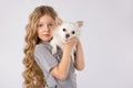 Little girl with white chihuahua dog isolated on white background. Kids Pet Friendship Royalty Free Stock Photo