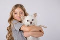 Little girl with white chihuahua dog on white background. Kids Pet Friendship Royalty Free Stock Photo