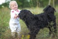 little girl in white clothes plays with black dog. Communication of children and animals. Good home dog outdoor