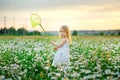 A little girl in a white sundress runs through a field of flowering daisies and holds a net for catching insects Royalty Free Stock Photo