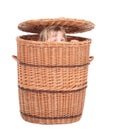 Little girl in wicker box