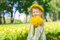 Little girl with a wreath of flowers Royalty Free Stock Photo