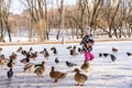 little girl 3-4 years old in pink pants, a jacket and hat holds bread in her hands and feeds ducks and pigeons Royalty Free Stock Photo