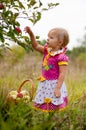 Little girl years to pick apples