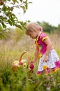 Little girl years to pick apples