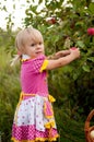 Little girl years to pick apples