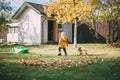 little girl in a yellow jacket and a chihuahua dog in the fall