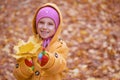 Little girl in yellow coat collects Royalty Free Stock Photo