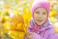 Little girl in yellow coat collects yellow maple leaves Royalty Free Stock Photo