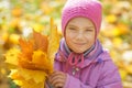 Little girl in yellow coat collects yellow maple leaves Royalty Free Stock Photo