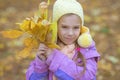 Little girl in yellow coat collects yellow maple leaves Royalty Free Stock Photo