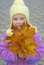 Little girl in yellow coat collects yellow maple leaves Royalty Free Stock Photo