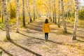 Little girl in in yellow dress in beautiful autumn park. Autumn fall concept