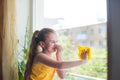 Little girl in shirt and blue shorts washes the windows at home. Daughter with a cat wash the window Royalty Free Stock Photo