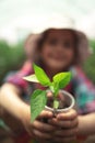 Little girl, young farmer with colorful boots touching tomato plants leaves in greenhouse Royalty Free Stock Photo