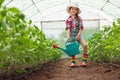 Little girl, young farmer with colorful boots touching tomato plants leaves in greenhouse Royalty Free Stock Photo