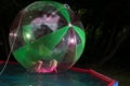 Little girl in Zorb in the pool