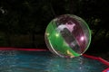 Little girl in Zorb in the pool