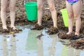 Little Girls at the Beach with Feet in Seaweed Royalty Free Stock Photo