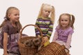 Little girls with burmese cats