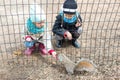 Little girls feeds a squirrel in Central park, New