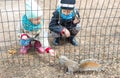 Little girls feeds a squirrel in Central park, New