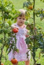 Little girls picked tomatoes