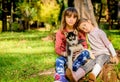 Little girls playing with husky puppy in the park Royalty Free Stock Photo