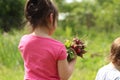 Little girls preschoolers pick radishes in the garden