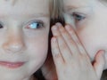 Little Girls Telling Secrets Whispering Twin Sisters Royalty Free Stock Photo